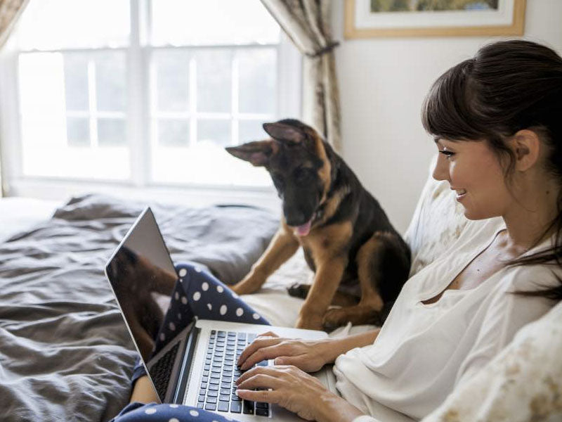 delta strom νέα απο το blog